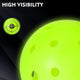 High visibility pickleball